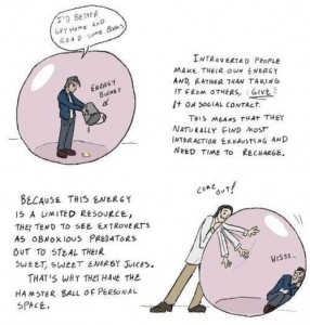 Introvert-Hamsterball