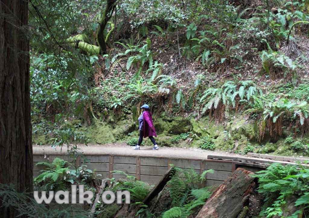 walk on